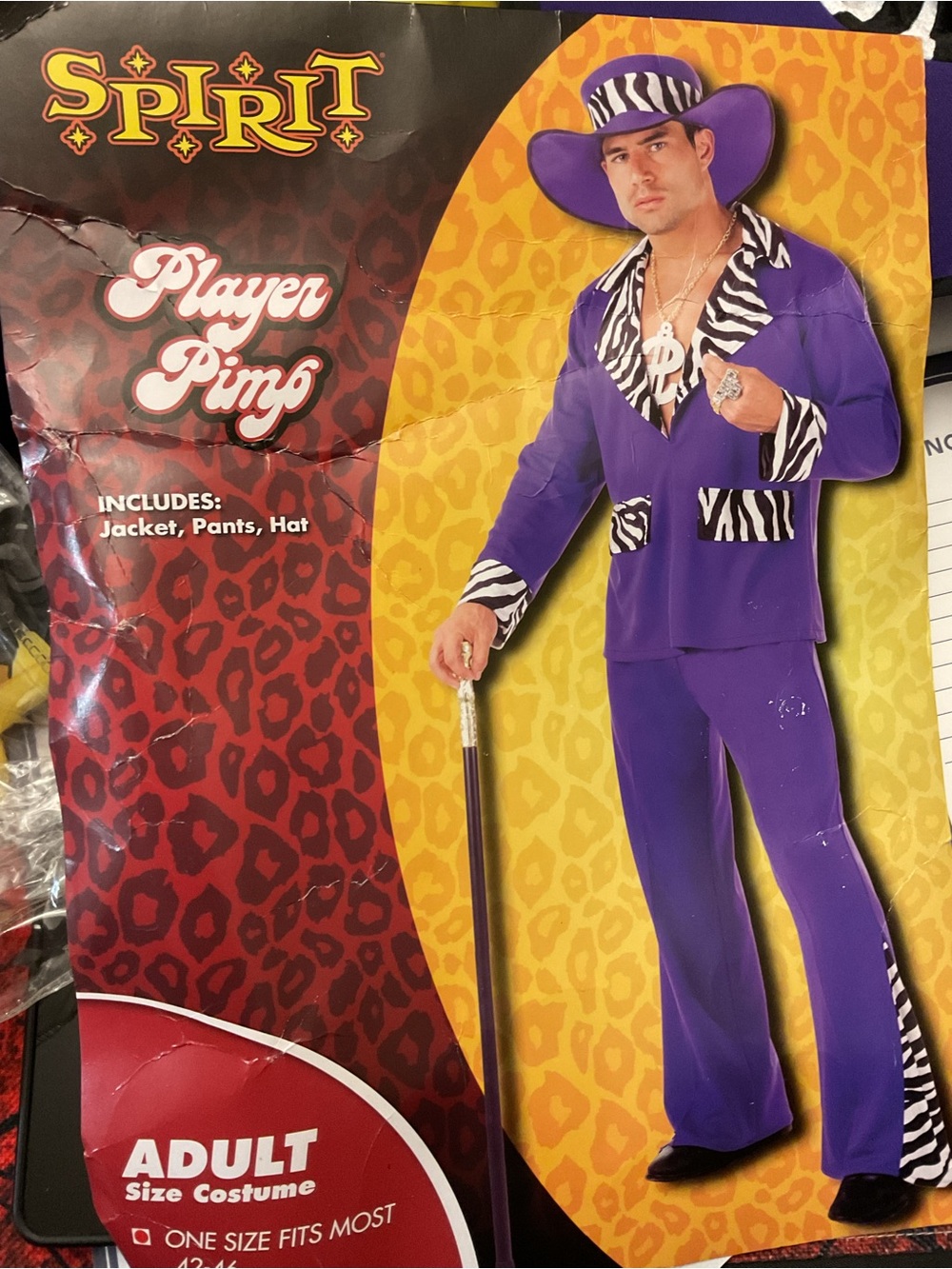 Adult Costume